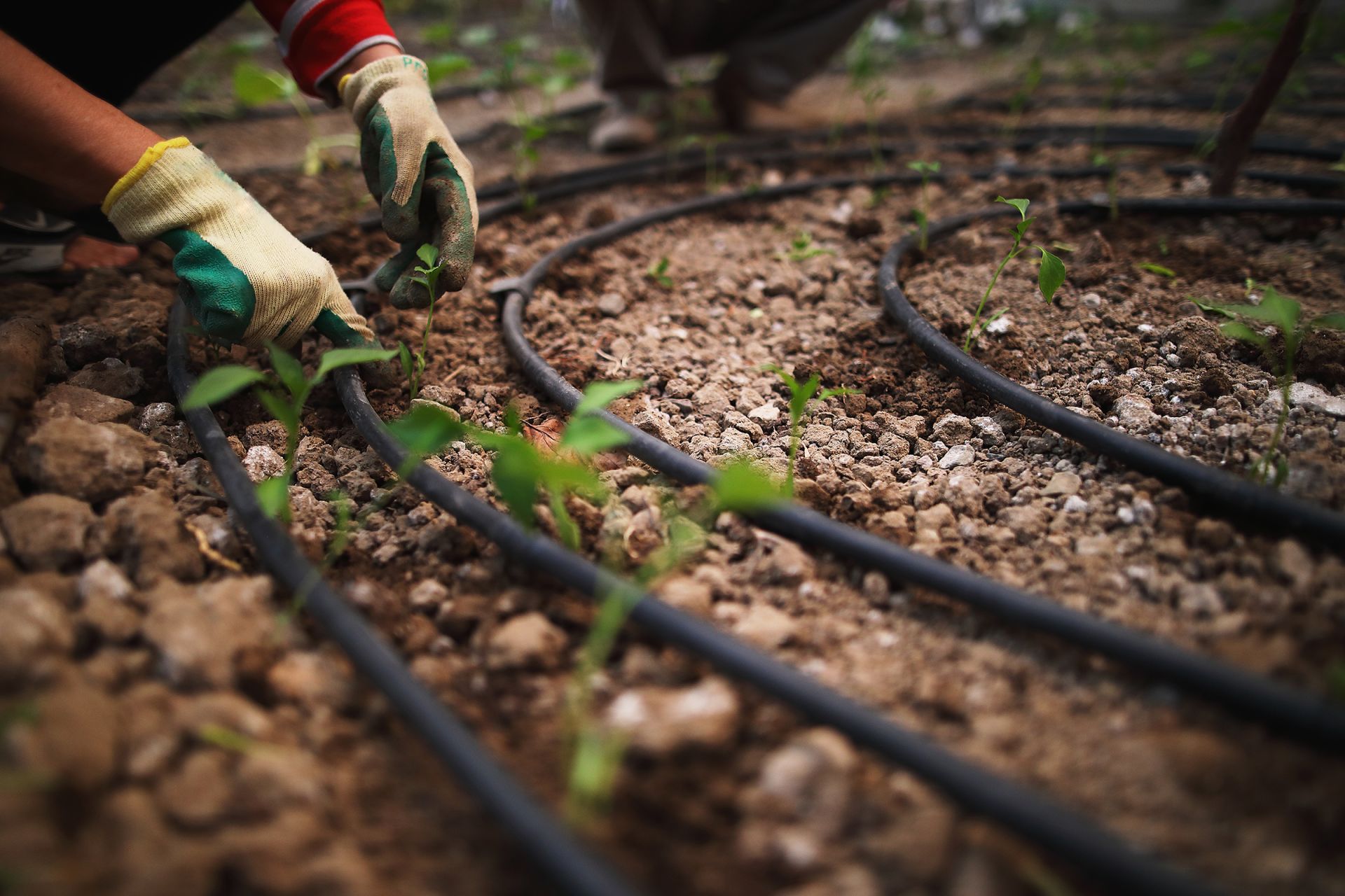 Adritec Europe Drip Irrigation Systems